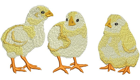 Three Baby Chicks Filled Machine Embroidery Design Digitized Pattern