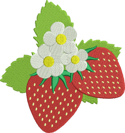 Two Strawberries Filled Machine Embroidery Digitized Design Pattern