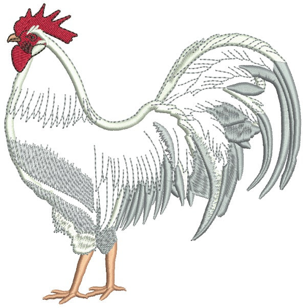 White Majestic Rooster Applique Machine Embroidery Design Digitized Pattern