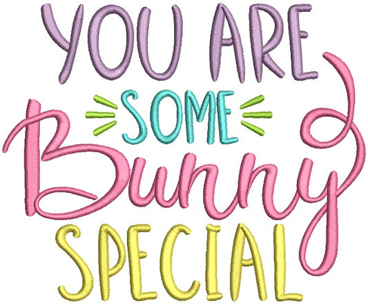 You Are Some Bunny Special Fancy Text Filled Easter Machine Embroidery Design Digitized Pattern