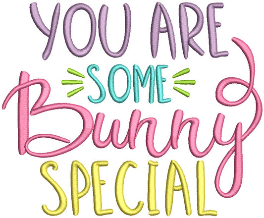 You Are Some Bunny Special Text Easter Filled Machine Embroidery Design Digitized Pattern